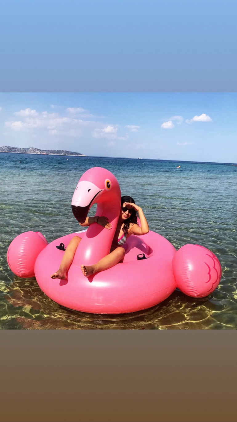 O săptămână cu flamingo roz în Thasos